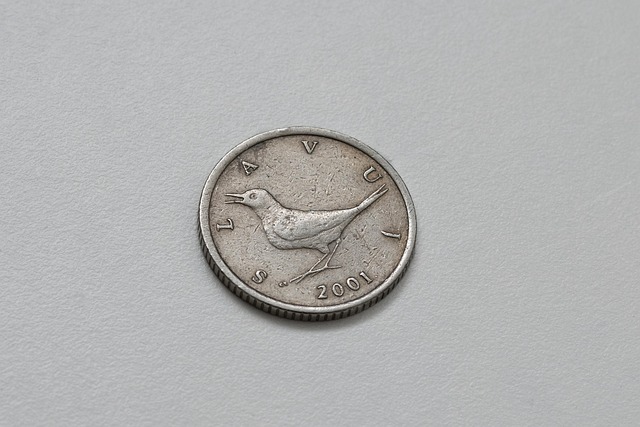 Jak uniknout nedostatku?